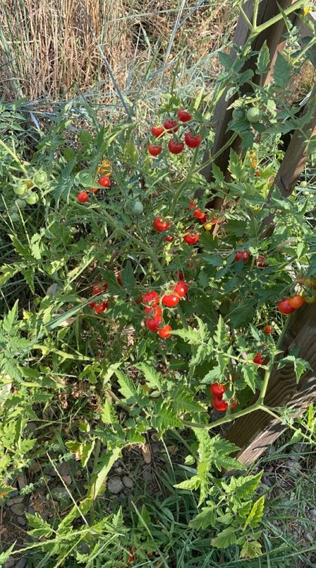 Blondedouce OnlyFans Leak