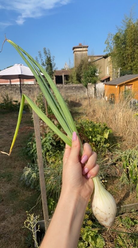 Blondedouce Nacktbilder auf OnlyFans