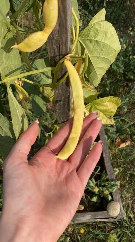 Blondedouce OnlyFans Pornografie geleakt