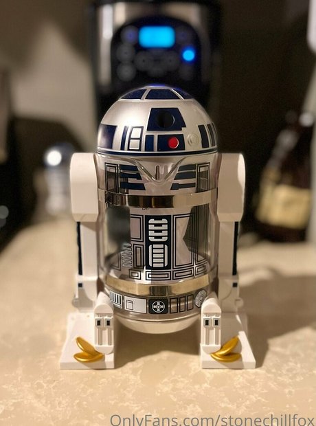 stonechillfox OnlyFans geleakt