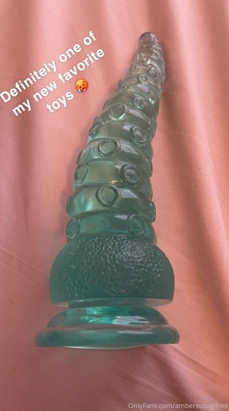 amberxusagifree OnlyFans Nacktbilder