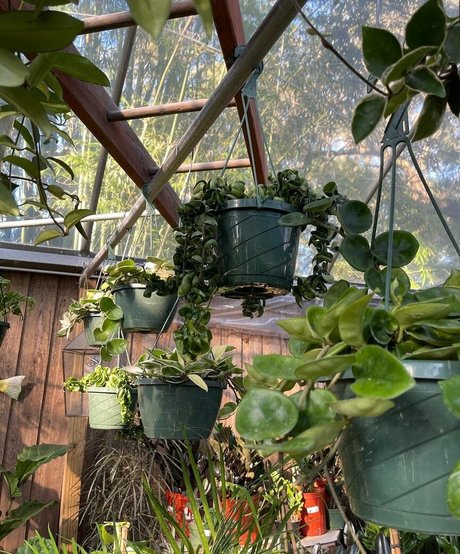 natnevv OnlyFans Model Fotos