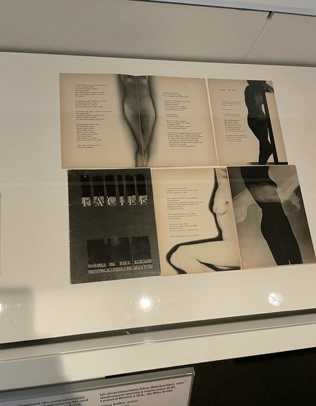 flaurallvip OnlyFans Sextape