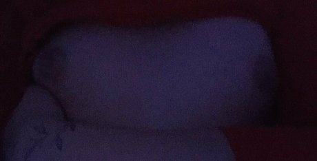 stefanyfreitass Nacktbilder von OnlyFans