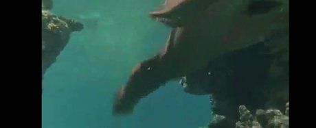 Phoebe Cates Nacktbilder-Leaks von OnlyFans