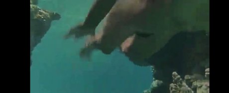 Phoebe Cates Nackt auf OnlyFans