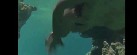 Phoebe Cates OnlyFans Leaks