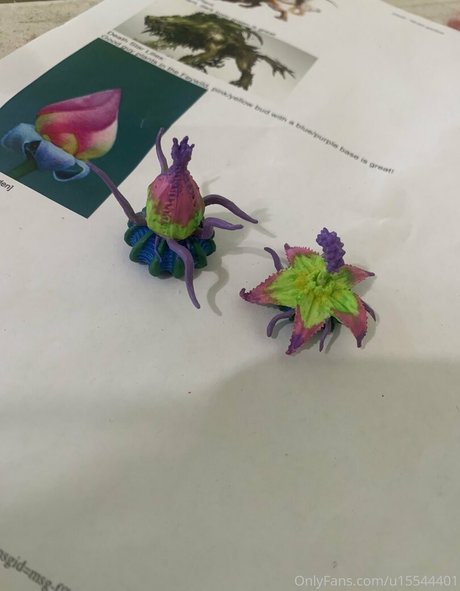 elizabethreed OnlyFans nackt