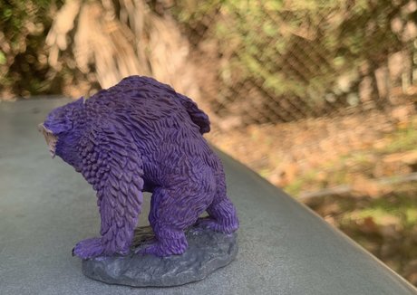 elizabethreed Nacktbilder auf OnlyFans