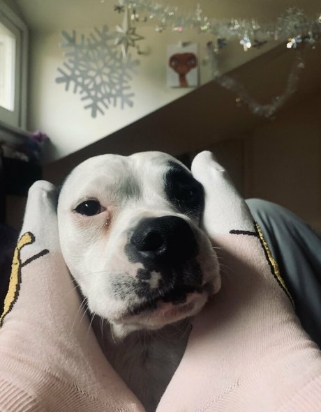 elizabethreed Kostenlose OnlyFans-Pornos