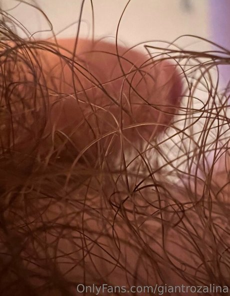 giantrozalina Profilbild
