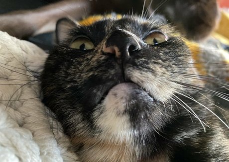 seitansm1stress Leaked OnlyFans Bilder