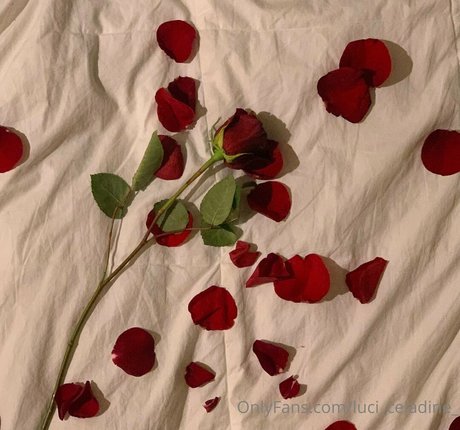 luci celadine_ OnlyFans Nacktbilder