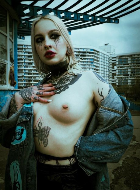 dariamilk Unzensiert OnlyFans