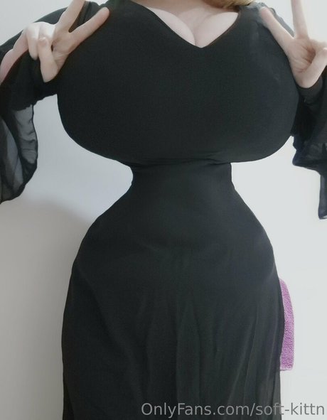 Soft kittn OnlyFans-Pornos