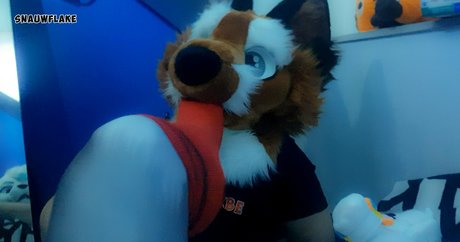 matthewfoxbe OnlyFans Nacktbilder