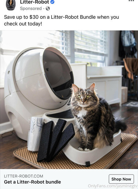 jasminegtv OnlyFans explizite Inhalte