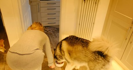 Scottish Murmurs OnlyFans-Pornos