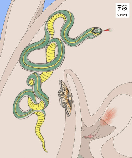 raebygirl OnlyFans XXX