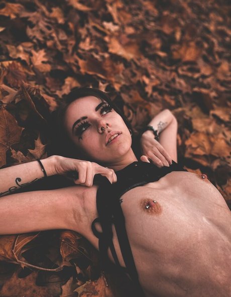 Midnight rav3n OnlyFans Nacktbilder