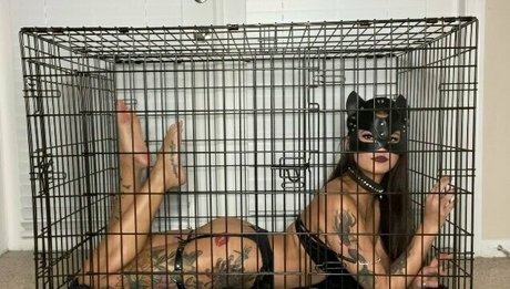 asiapolerina OnlyFans Nacktfotos