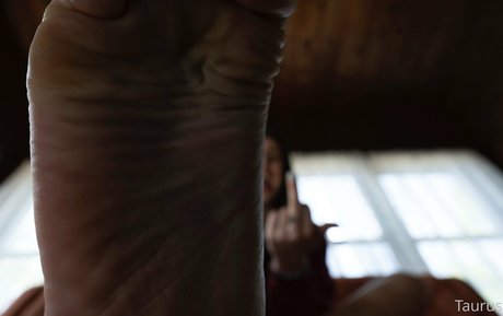 tastytaurustoes OnlyFans Inhalte