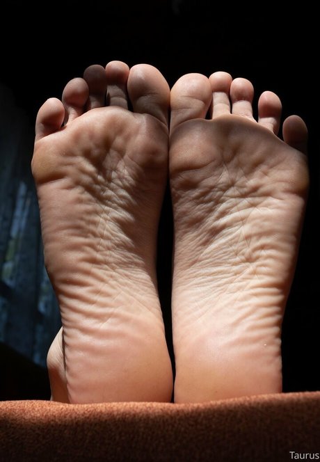 tastytaurustoes OnlyFans Arsch Leak