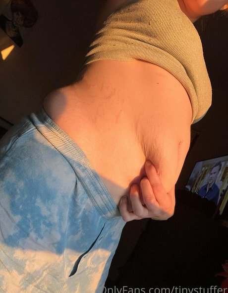 tinystuffer OnlyFans-Sex