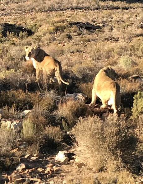 jimnewmannyc Füße OnlyFans