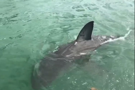 jimnewmannyc Leaked OnlyFans Pornografie