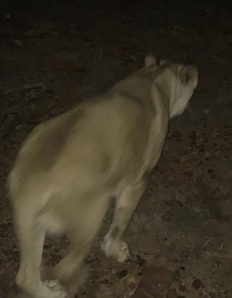 jimnewmannyc OnlyFans-Archiv