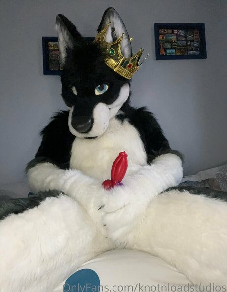 knotnloadstudios Leak von OnlyFans