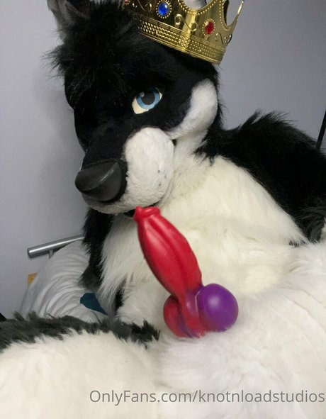 knotnloadstudios Leaked OnlyFans Bilder