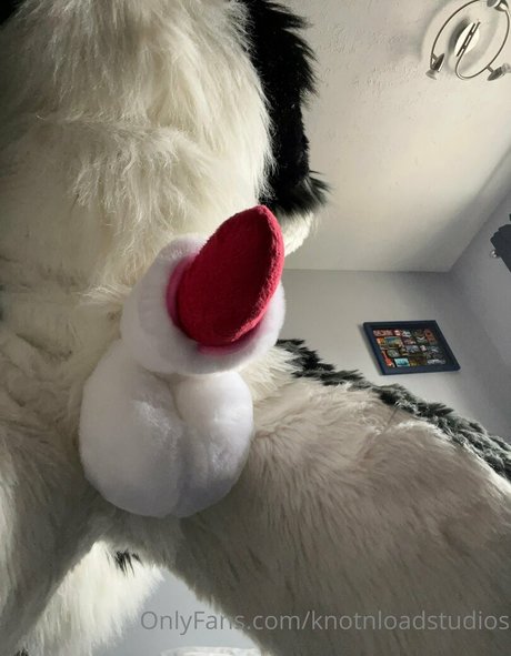 knotnloadstudios OnlyFans Bilder