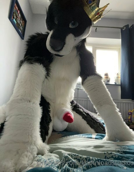 knotnloadstudios OnlyFans Leak Pornografie