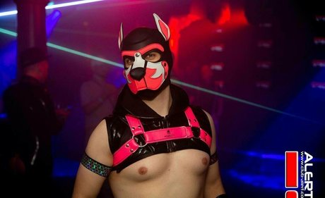 knotnloadstudios Kostenlose OnlyFans-Inhalte