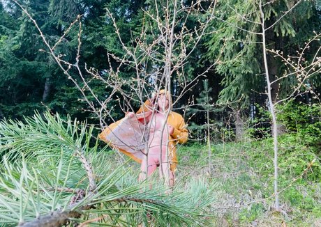 shadeofme Sexy OnlyFans