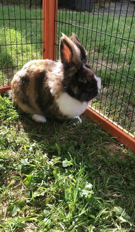 lothianjamie Leaked OnlyFans Nacktbilder