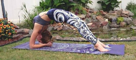 pocketrobbin Nacktpornos auf OnlyFans