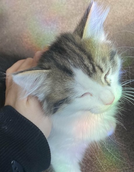 rubyskyes2 0 Po OnlyFans