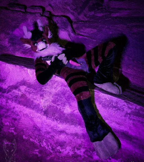 pitourikou OnlyFans-Bilder