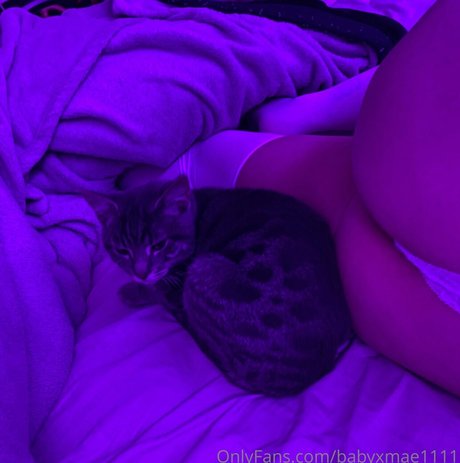 babyxmae1111 Joi OnlyFans