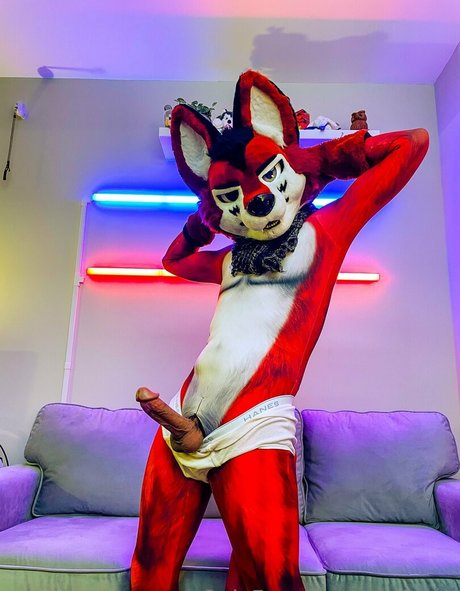 wolf ezo OnlyFans Beiträge