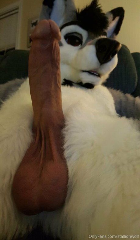 stallionwolf Nacktbilder von OnlyFans