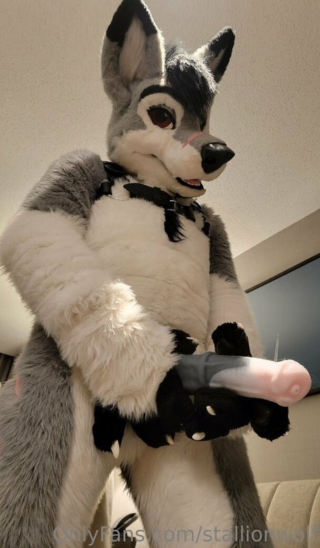 stallionwolf OnlyFans-Post