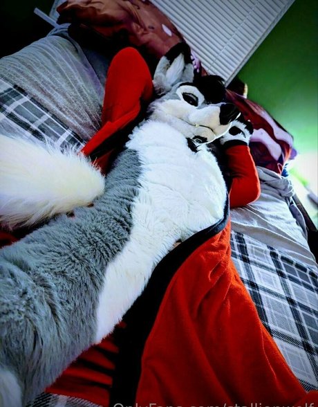 stallionwolf Nacktpornos auf OnlyFans