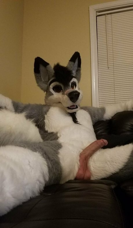 stallionwolf Nacktpornos auf OnlyFans