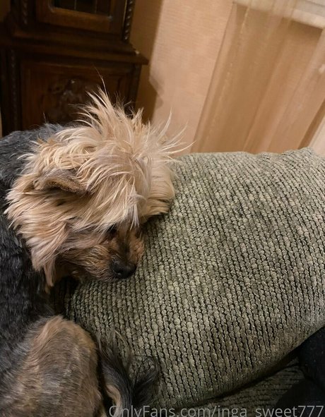 inga sweet777 Nackt Leaks OnlyFans