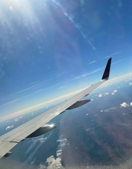 konekofixations OnlyFans Leaks