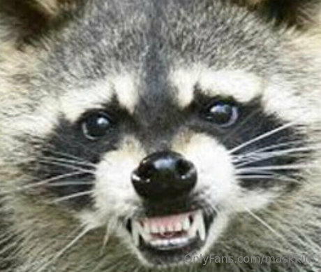 maskkim OnlyFans-Seite